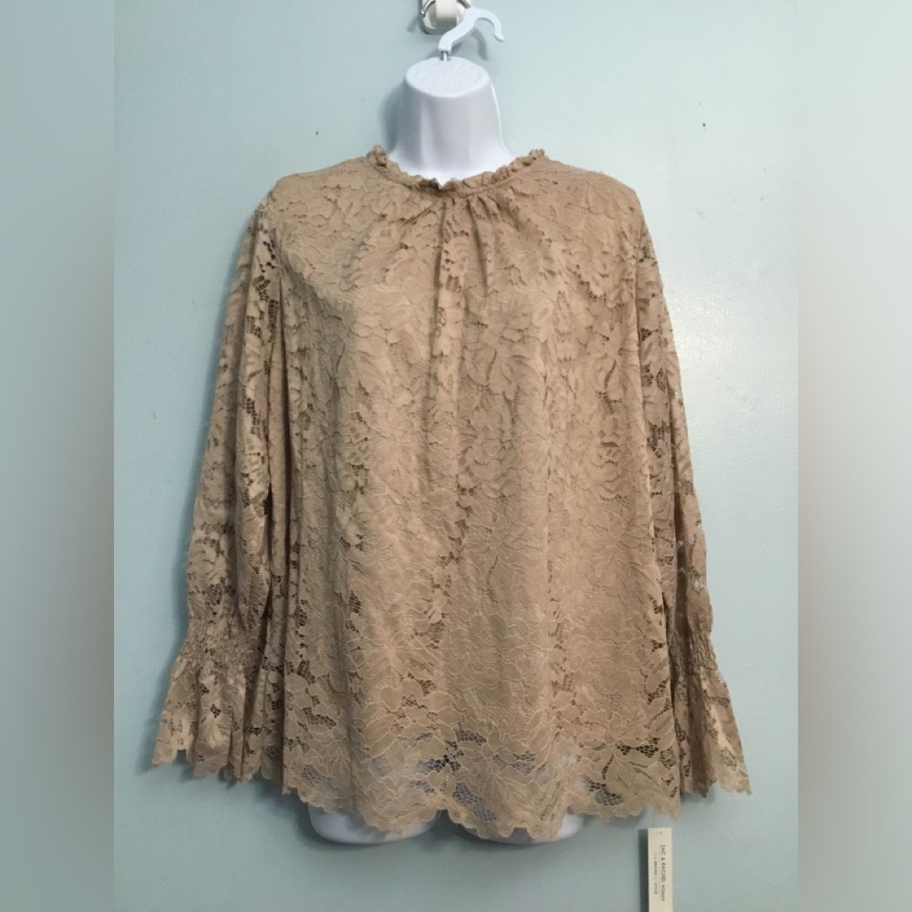 Elegant Lace Long Sleeve Top
